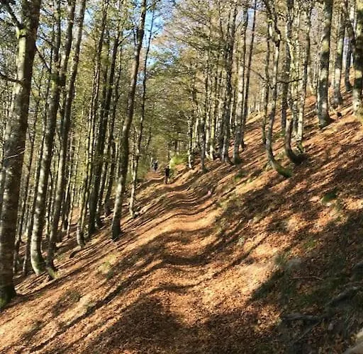 Holiday home La Magie Entre Deux Lacs