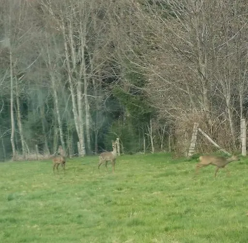 Prázdninový dům La Magie Entre Deux Lacs *