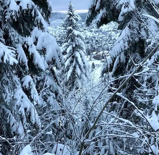 La Magie Entre Deux Lacs Gérardmer