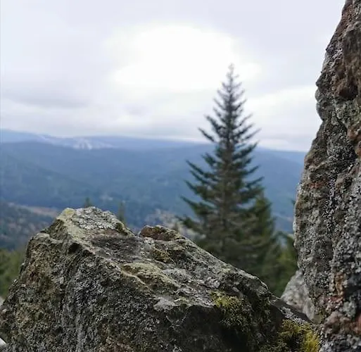 Prázdninový dům La Magie Entre Deux Lacs *