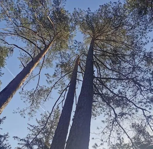La Magie Entre Deux Lacs Prázdninový dům Gérardmer